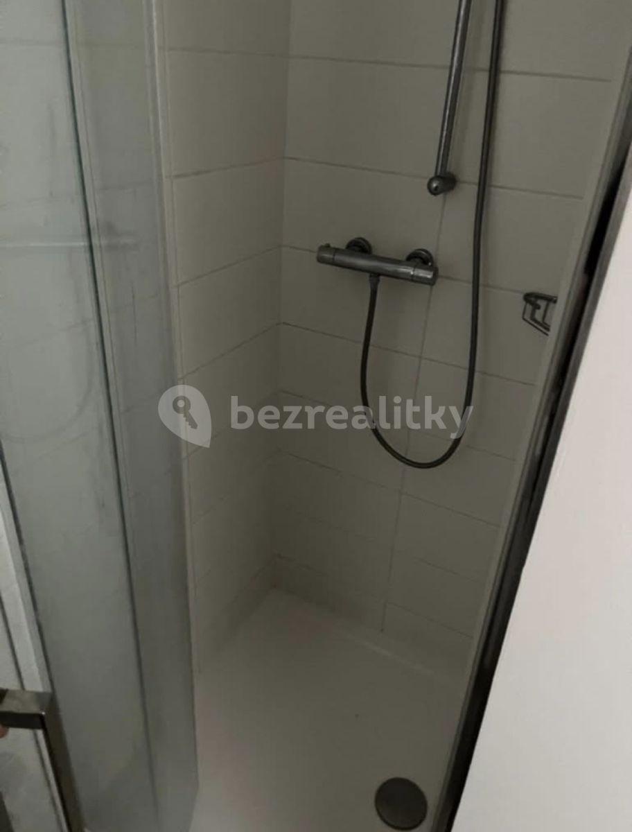 Pronájem bytu 1+1 18 m², Na Zátorách, Praha, Praha