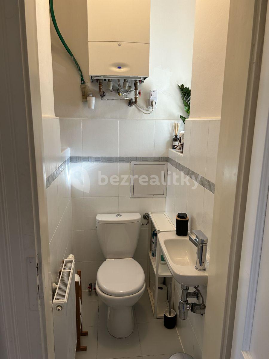 Pronájem bytu 2+1 49 m², Lumírova, Praha, Praha