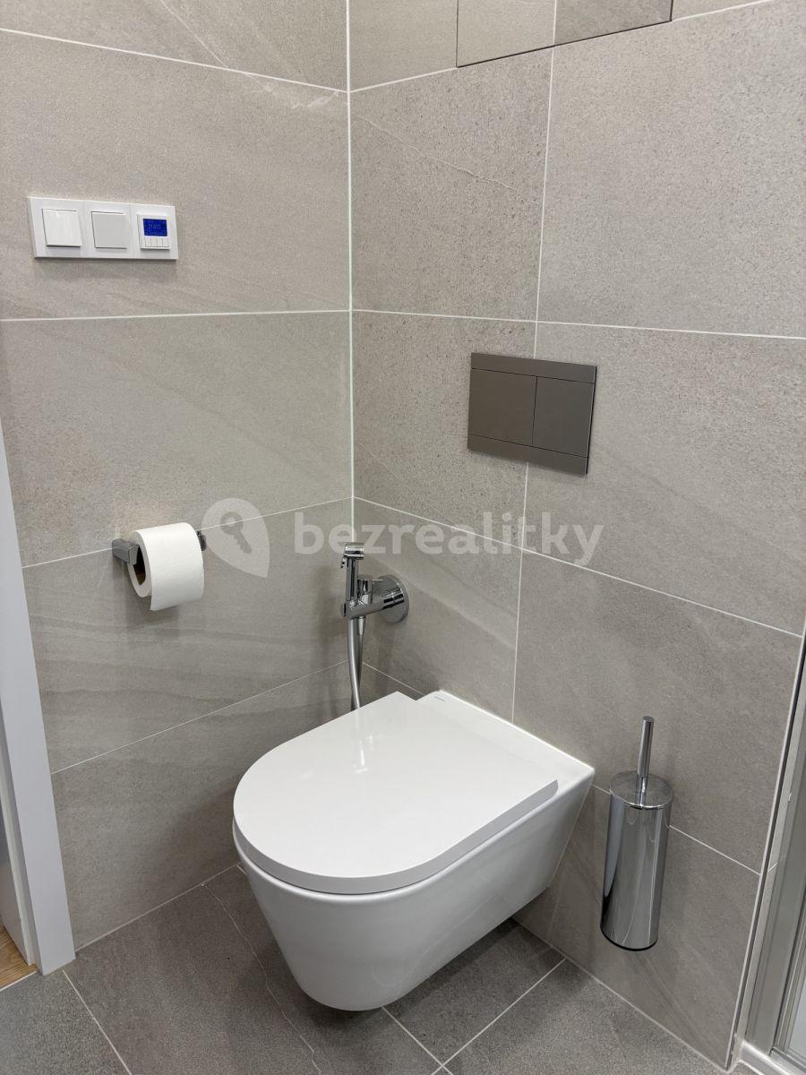 Pronájem bytu 2+1 41 m², Závišova, Praha, Praha