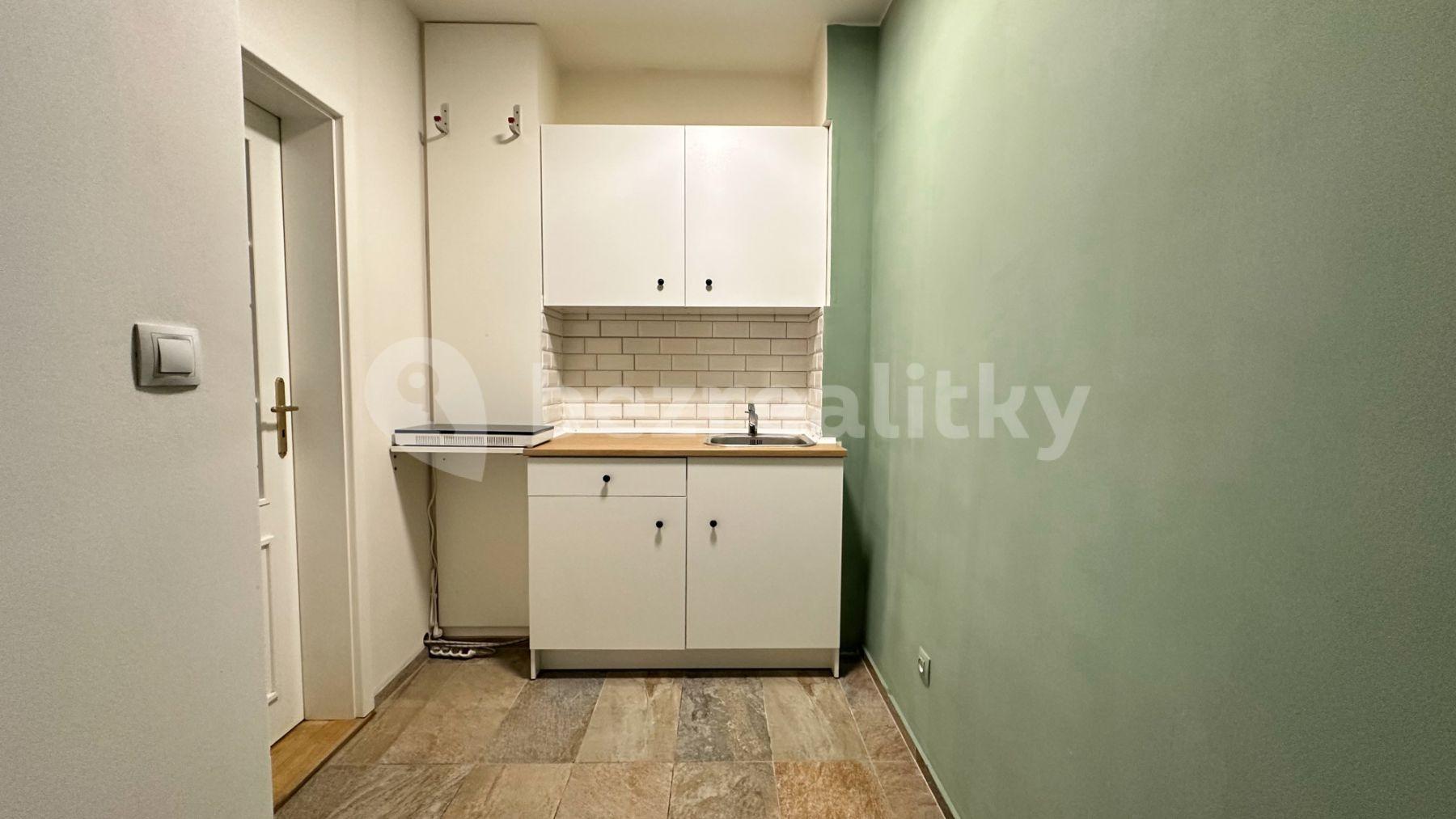 Pronájem bytu 1+1 13 m², Mánesova, Praha, Praha