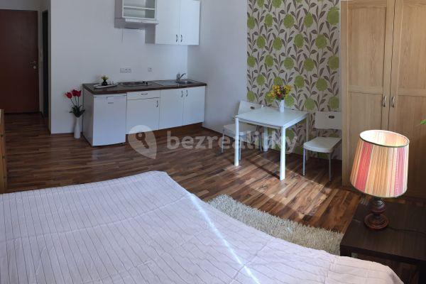 Pronájem bytu 1+kk 25 m², Provazníkova, 