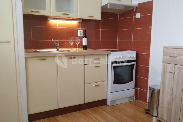 Pronájem bytu 1+1 41 m², Kunětická, 