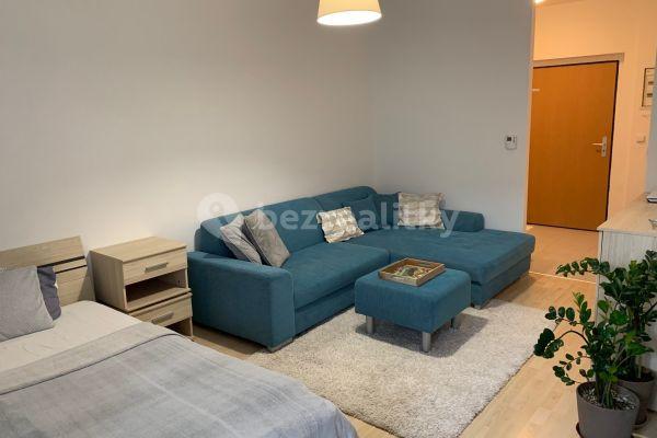 Pronájem bytu 1+kk 40 m², U Leskavy, Brno