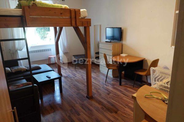 Pronájem bytu 1+kk 30 m², Pod vilami, Praha