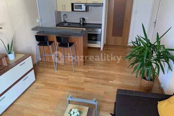 Pronájem bytu 1+kk 30 m², Klapálkova, Praha