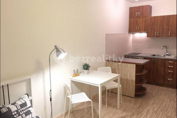 Pronájem bytu 1+kk 25 m², Hnězdenská, 