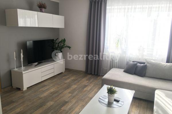 Pronájem bytu 2+1 58 m², Mánesova, České Budějovice