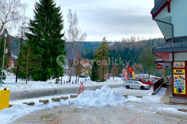 Pronájem bytu 1+kk 38 m², Bedřichov, Špindlerův Mlýn