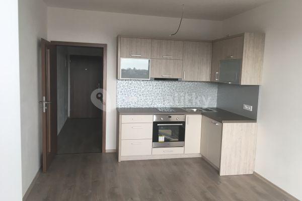 Pronájem bytu 1+kk 30 m², Topolová, Slavonín