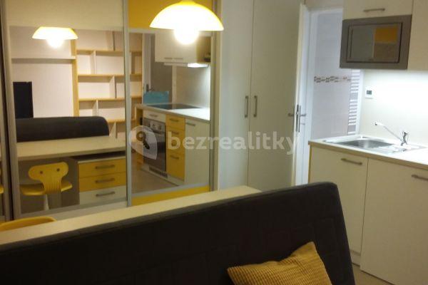 Pronájem bytu 1+kk 24 m², Patočkova, Praha