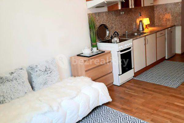 Pronájem bytu 1+kk 23 m², Vlkova, Praha, Praha