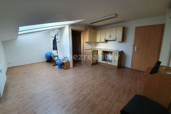 Pronájem bytu Garsoniéra 28 m², Husova, 