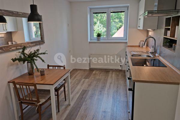 Pronájem bytu 1+1 46 m², Prokopa Holého, 