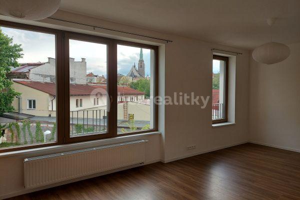 Pronájem bytu 1+kk 32 m², Pallova, Plzeň