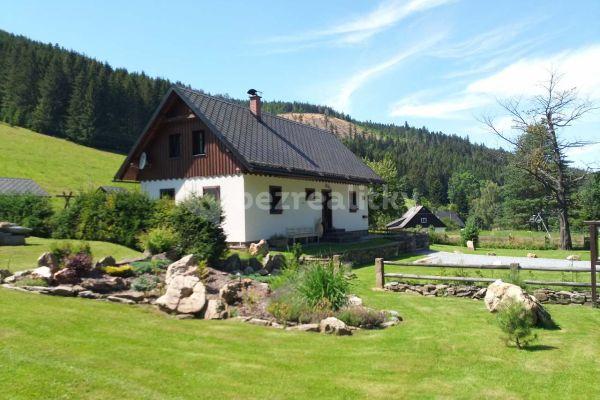 Pronájem chaty, chalupy, Zlaté Hory - Horní Údolí