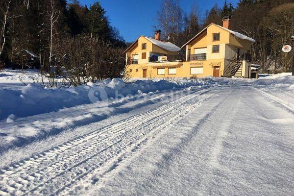 Pronájem chaty, chalupy, Svojanov