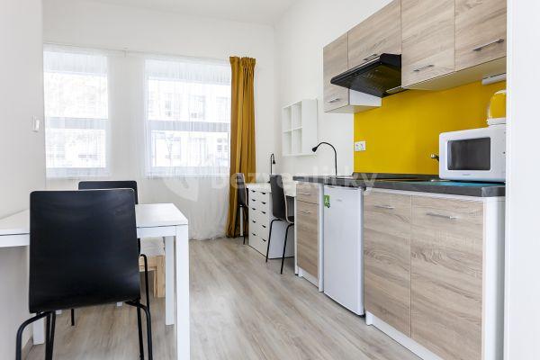 Pronájem bytu 1+kk 20 m², Václavská, Brno, Jihomoravský kraj