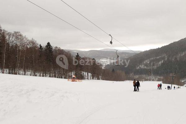 Pronájem chaty, chalupy, Vernířovice