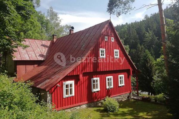 Pronájem chaty, chalupy, Desná - Černá Říčka