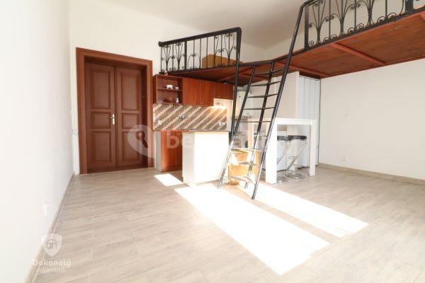 Pronájem bytu 1+kk 28 m², K Avii, 