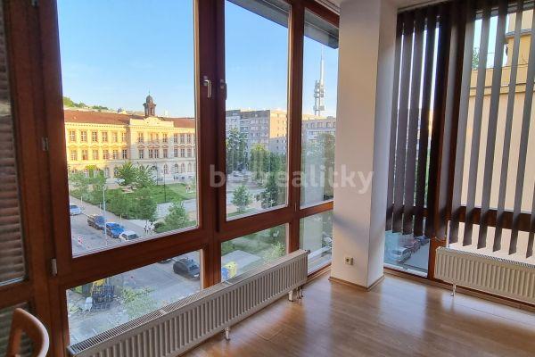 Pronájem bytu 2+kk 54 m², Lukášova, Praha, Praha