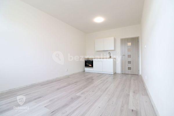 Pronájem bytu 1+kk 26 m², Slepá, 