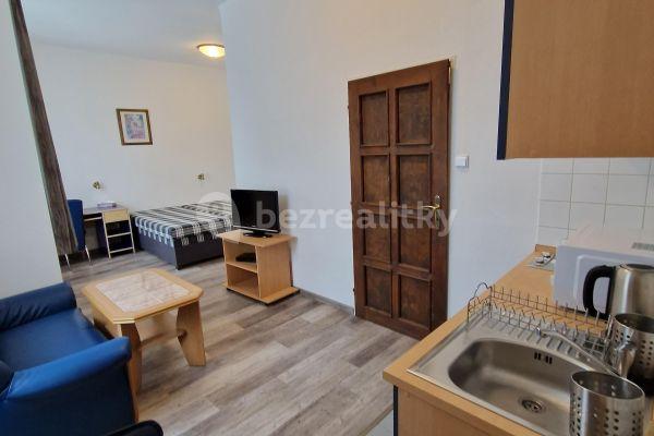 Pronájem bytu 1+kk 26 m², Vratislavova, 