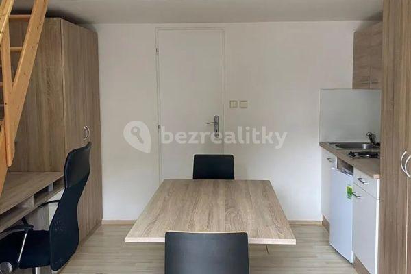 Pronájem bytu 1+kk 18 m², Václavská, Brno