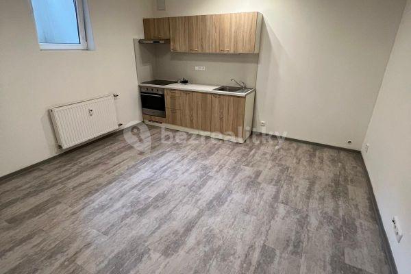 Pronájem bytu 1+kk 30 m², Netušilova, Brno, Jihomoravský kraj