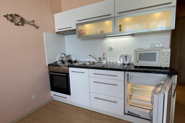 Pronájem bytu 1+1 36 m², Jihlavská, 