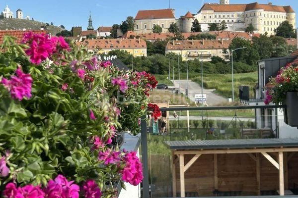 Pronájem chaty, chalupy, Mikulov