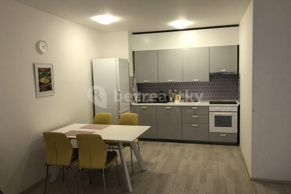 Pronájem bytu 2+kk 55 m², U Mlýnského kanálu, Praha