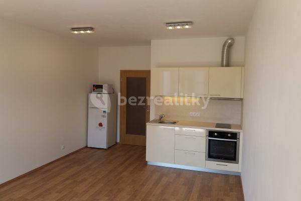 Pronájem bytu 1+kk 30 m², Hlučkova, Praha