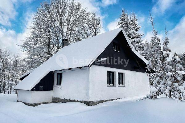 Pronájem chaty, chalupy, Rokytnice v Orlických horách - Panské Pole