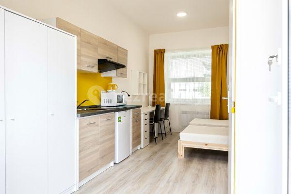 Pronájem bytu 1+kk 18 m², Václavská, Brno