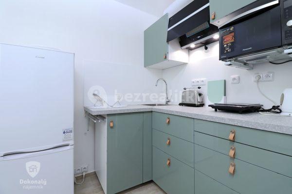 Pronájem bytu 1+kk 19 m², Koperníkova, 