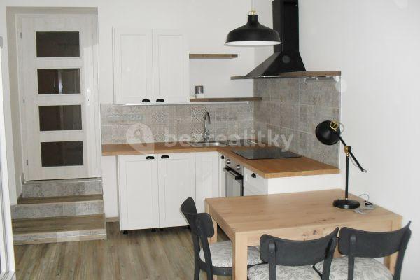 Pronájem bytu Garsoniéra 28 m², Gorazdova, Brno