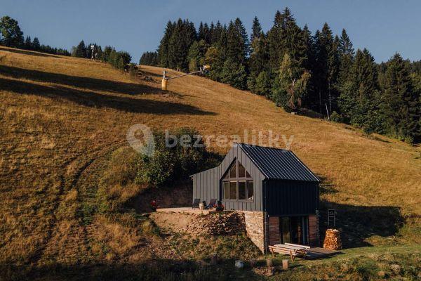 Pronájem chaty, chalupy, Rokytnice nad Jizerou - Horní Rokytnice