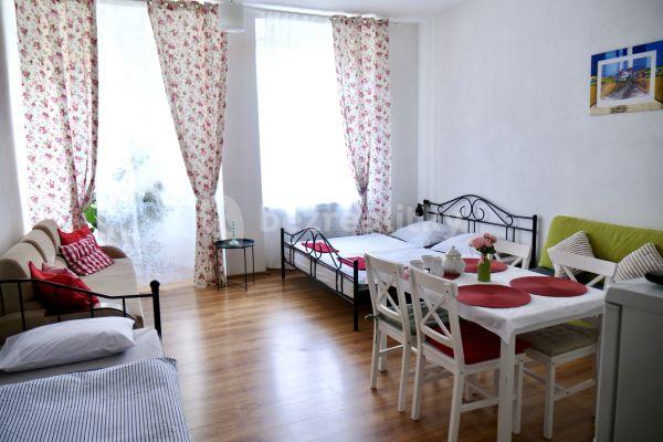 Pronájem bytu 1+kk 55 m², Ruská, Teplice, Ústecký kraj