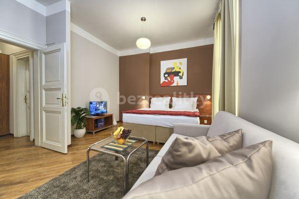 Pronájem bytu 1+1 38 m², Masná, Praha