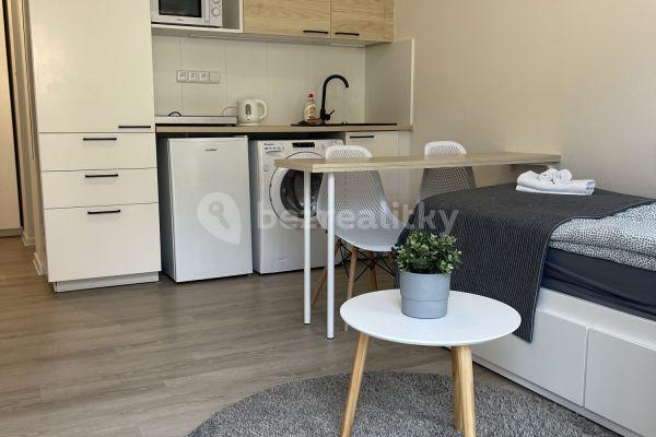 Pronájem bytu 1+kk 14 m², Koněvova, Praha