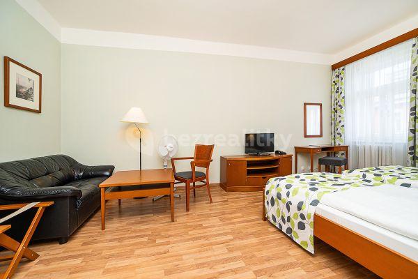 Pronájem bytu 1+kk 27 m², Americká, Praha