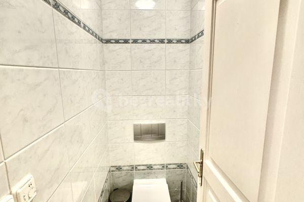 Pronájem bytu 2+1 40 m², Mostecká, Praha