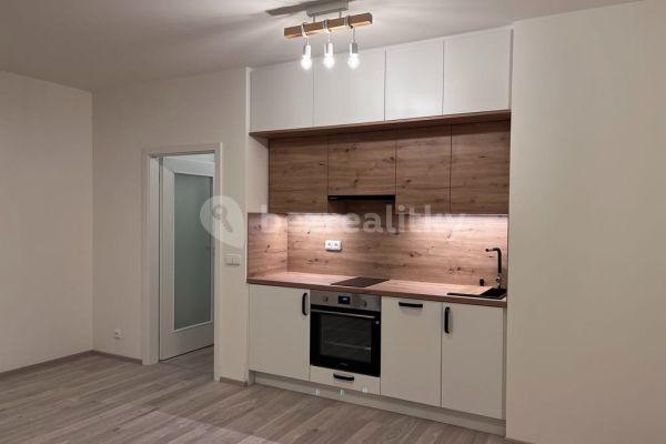 Pronájem bytu 1+kk 30 m², Heřmanická, Praha