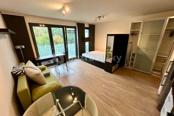 Pronájem bytu 1+kk 36 m², Praha