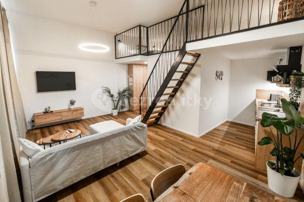 Pronájem bytu 1+kk 46 m², Vlhká, Brno