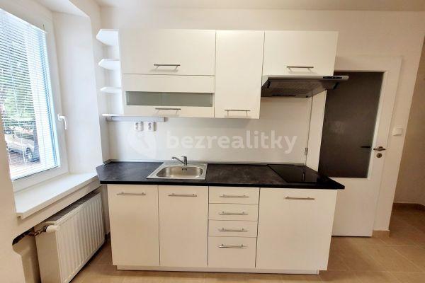 Pronájem bytu 1+kk 28 m², U Nádraží, 