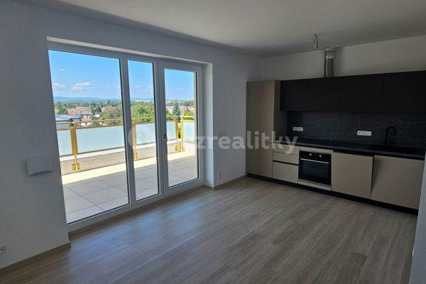 Pronájem bytu 2+kk 87 m², Novohradská, České Budějovice