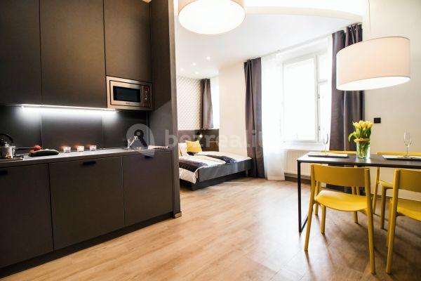 Pronájem bytu 1+kk 40 m², Rybná, Praha