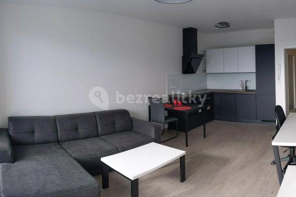 Pronájem bytu 2+kk 50 m², Plotní, Brno